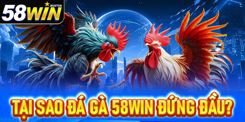 Đá gà 58win