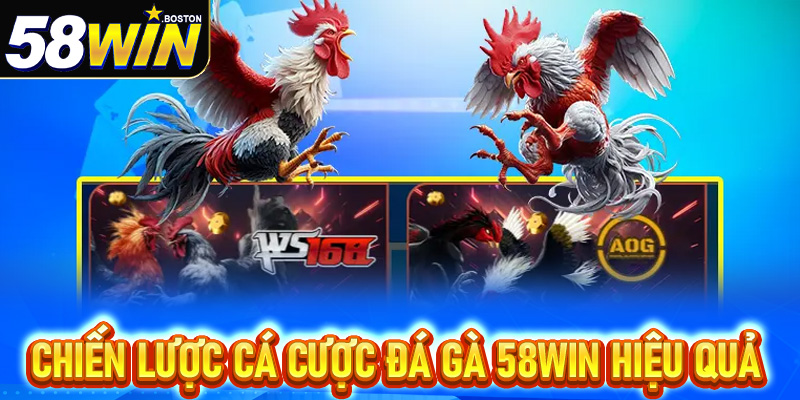 Chiến lược cá cược hiệu quả tại Đá gà 58win