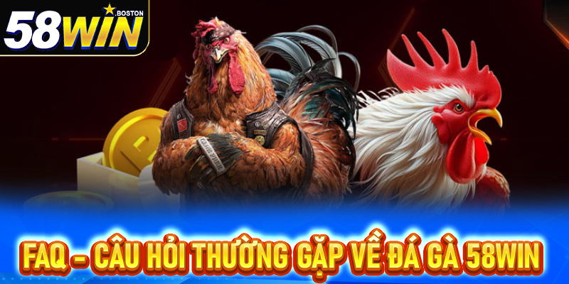 FAQs - Thắc mắc thường gặp về đá gà 58win
