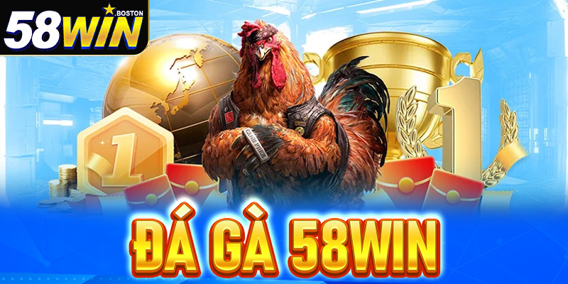 Đá gà 58win